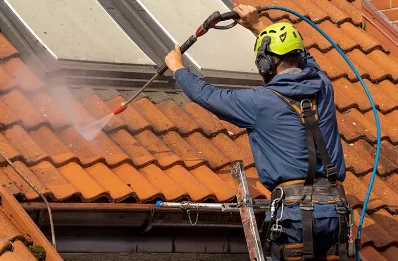 Démoussage et hydrofuge de toiture à Projan